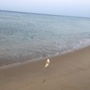 동호펜션 이미지