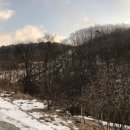 차항1리 마을회관 이미지