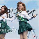 스카우트