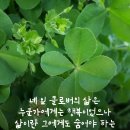 좋은가비어 이미지