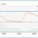에이치에스홀딩스