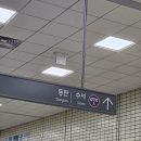 이수빈 | 발레 인어공주 전민철 발레리노 회차 1열 초근접 직관후기, 이수빈 발레리나