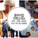 동부직업소개소 - 하남시 | 동부직업소개소