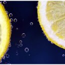 레몬의 꿈 이미지