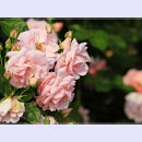 곡성-072 이미지