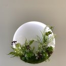 리베리의원 이미지