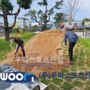 밀양초등학교 이미지