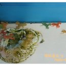 호야목장 이미지