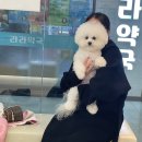 베리굿동물병원 이미지