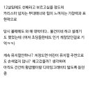 8년전 나타난 뮤지컬영재 근황 이미지