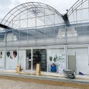 디와이팜 이미지