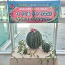 월림농장 조선일보