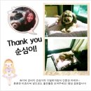 퍼피엔젤스 | 예쁜 강아지집/내 강아지를 위한 최고의 선택 디얼퍼피