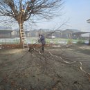 식당마당 이미지