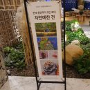 호텔 인터불고 대구 디럭스 트윈 숙박 후기 + 아트 갤러리 자연예찬전