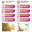 신안지구 네이버블로그