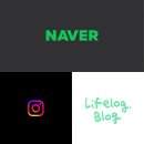 빅트리(Bigtree) | Wෆ [웨딩스냅] 특별하기보다 소중한 것을 오래도록 돌아볼 순간을 담아주는 ' 빅트리(BigTree) '