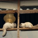 태호석 | 근교 당일치기 쑤저우 가는 법 기차 예매 기차역 위치 지하철 탑승 방법 | 졸정원, 핑장루, 산탕지에 후기