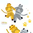 (주)디에스엔 이미지