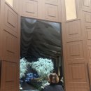 (주)365위더스 | 웨딩그룹위더스 영등포 웨딩홀 25년 상반기 상담 후기, 리뉴얼 조감도, 주차, 내부사진, 강서구웨딩홀