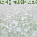 미쓰버블