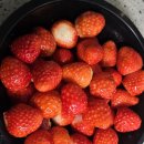 영순농장 이미지