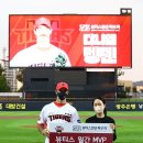 뷰티스피부과 마이데일리