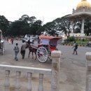 호텔 팰리스 이미지