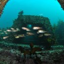 장관목장 이미지