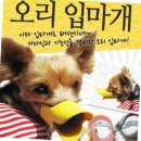 쿠치올로 이미지