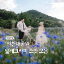 알레그라피 이미지