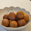 장성진 | 된 헬스장을 찾는다면?! < 원클래스피티 : ONE CLASS PT> / 둔산동피티 전문 헬스장, 장단점 솔직후기