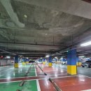 수내공영주차장 | 분당 출근길 주차 전쟁, 수내역에서 답을 찾다! (feat. 수내환승공영주차장)