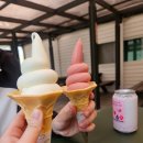 정동목장 | 3박 4일 여행 - 3일차 삼양라운드힐 평창한우마을 / 4일차 그린볼 정동심곡바다부채길 꾸옥 씨마크호텔