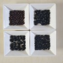 콩이야기 이미지