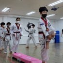 용인대 효태권도장 이미지