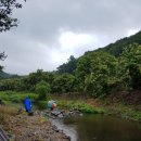 마곡사힐링캠프 이미지