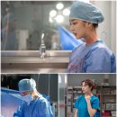 포레스트 이미지