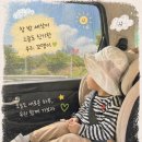 시크(SEEC) 맥스 아이진2 주니어 카시트 내 돈 내산 솔직후기