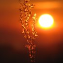 청우그린 이미지