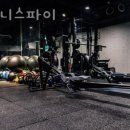 휘트니스 파이(FITNESS PI) 이미지