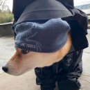 *⁀➷동탄 롯데캐슬 청약 미당첨 후기 =͟͟͞͞➳❥