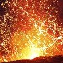 용암농장 이미지