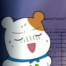 차이나게 판다 이미지