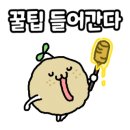 장미장 이미지