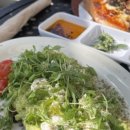 검프코리아 이미지