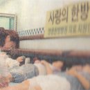 인애가의원 이미지