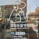 조원 동물병원 이미지