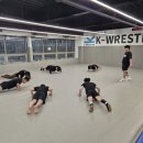 케이 레슬링 이미지