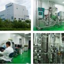 코코러스 이미지